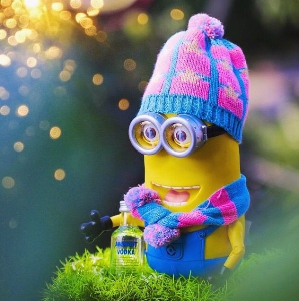 Миньон с цветком