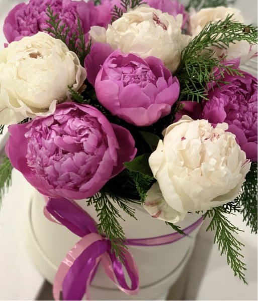 Пион Пинк Перфект