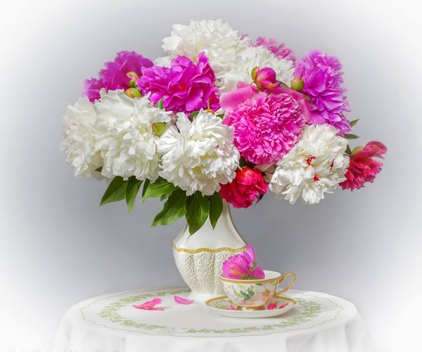 Пион биртдэй