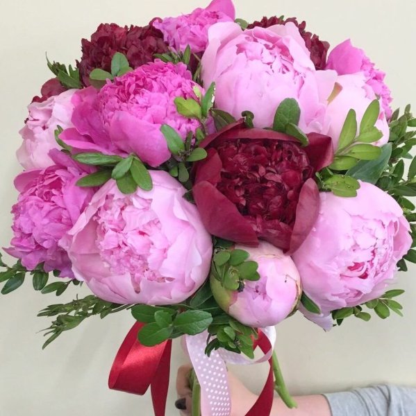 Поздравления с днём рождения пионы