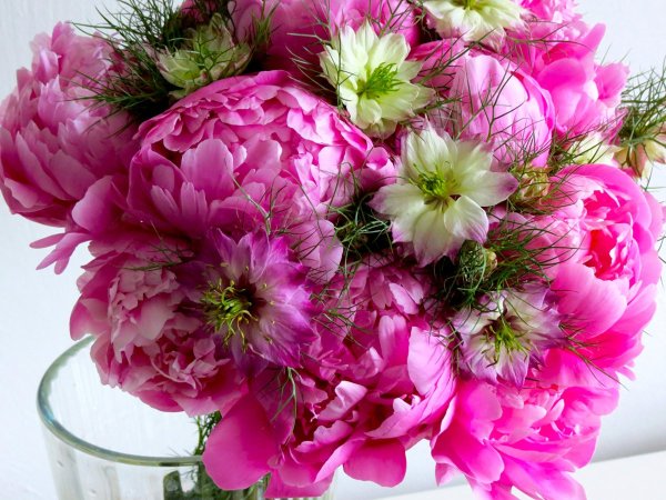 С днём рождения пионы