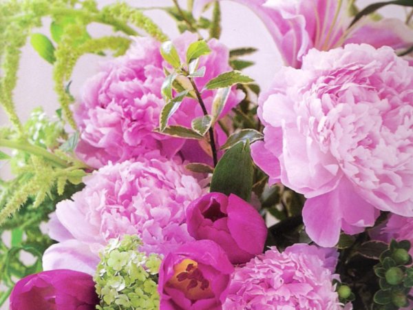 Пионы белые и розовые