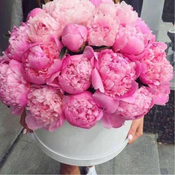 Букетище пионов