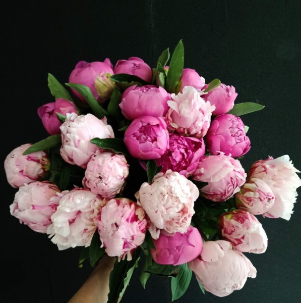 Букет с пионами