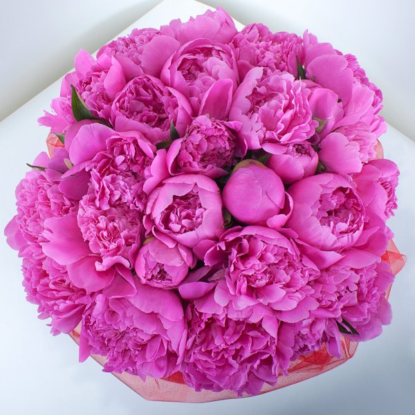 Открытка «пион»