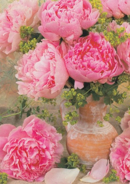 Открытка «пион»