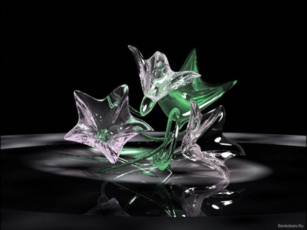 Стеклянные цветы