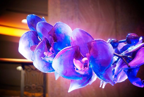 Красивые предметы