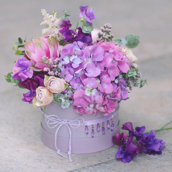 Латирус Лавка