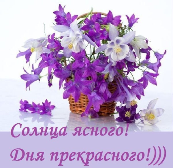 Доброе утро колокольчики