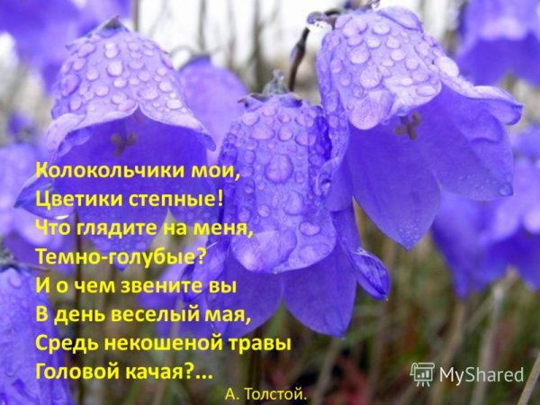 Доброе Воскресное утро март
