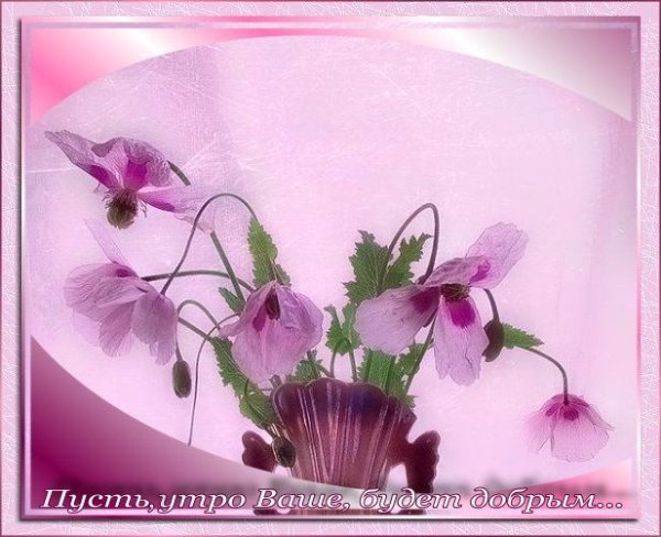 С добрым утром ффиадки