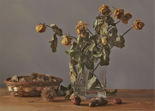 Лютик завявший