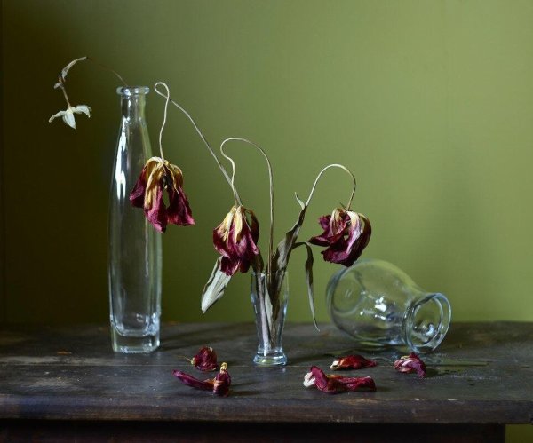 Увядший цветок