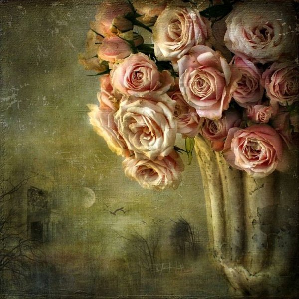 Винтажные розы