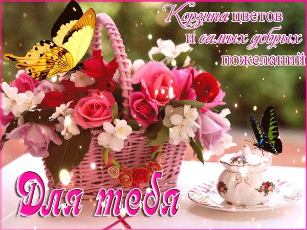 Красивой женщине красивые цветы стихи