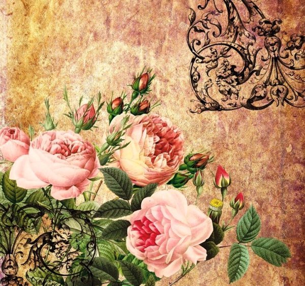 Красивые Винтажные цветы