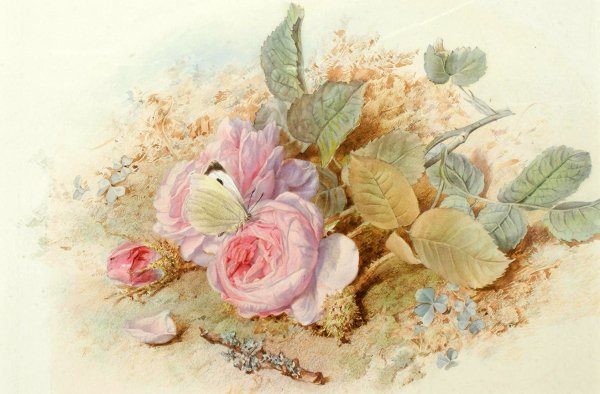 Цветочные акварели. Художница Mary Elizabeth Duffield