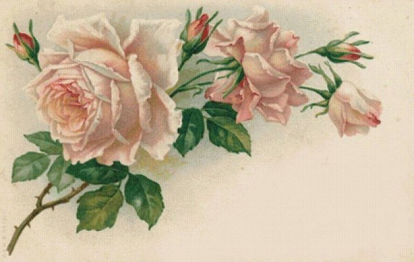 Винтажная открытка с цветами