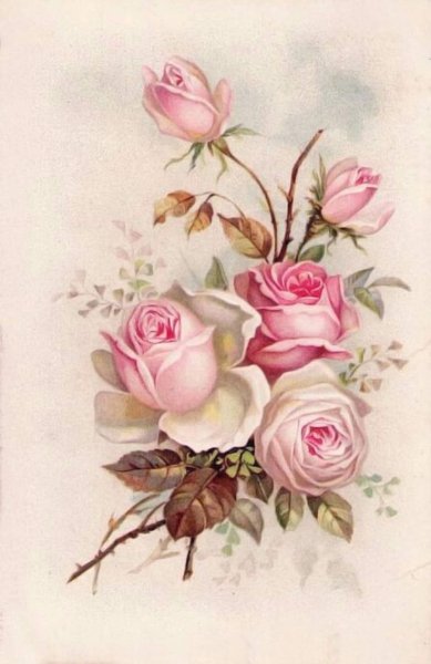 Поль де Лонгпре фиалки