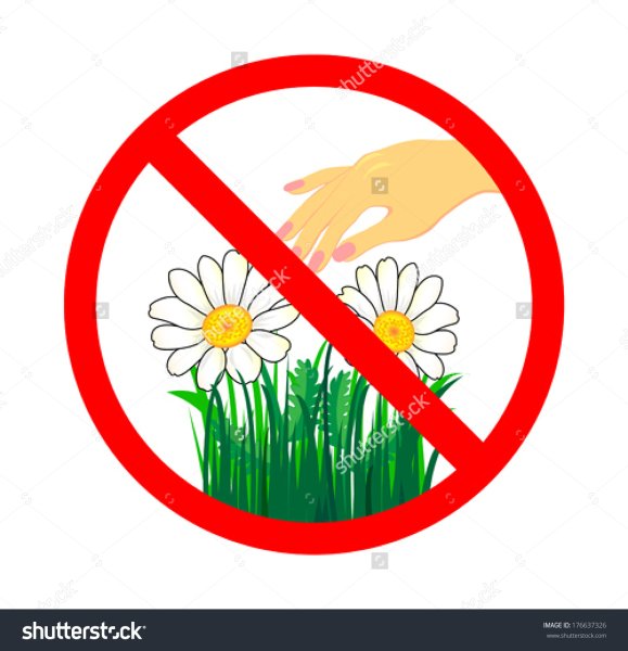 Не рвите редкие цветы