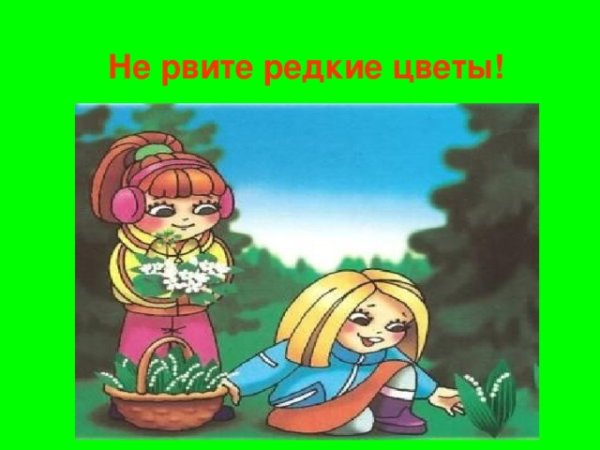 Нельзя рвать редкие цветы