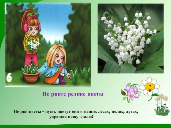 Нельзя рвать редкие цветы