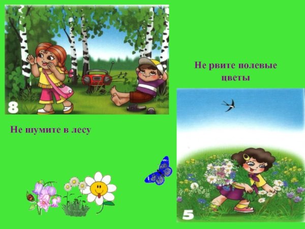 Не рви полевые цветы