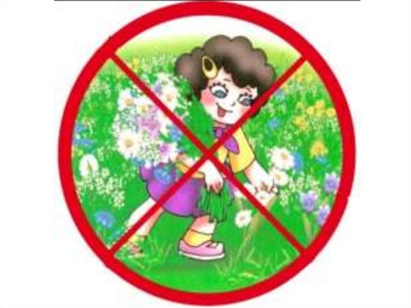 Берегите растения