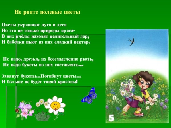 Стихи о бережном отношении к природе