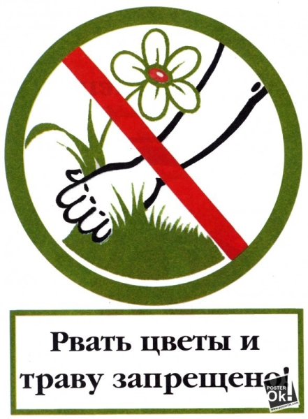 Рисунок на тему экология