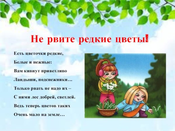 Нельзя срывать растения