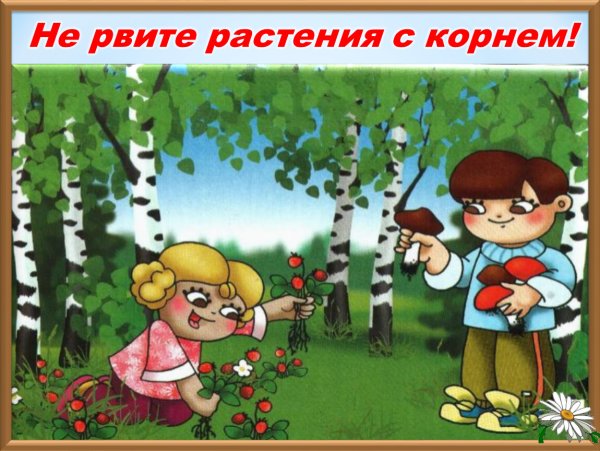 Знак не топтать растения