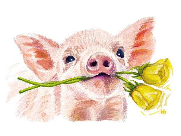 Хрюшка бабочка