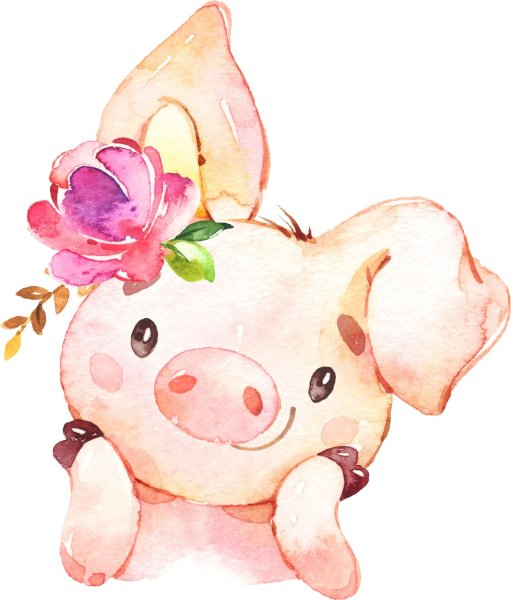 Доброе утро поросенок