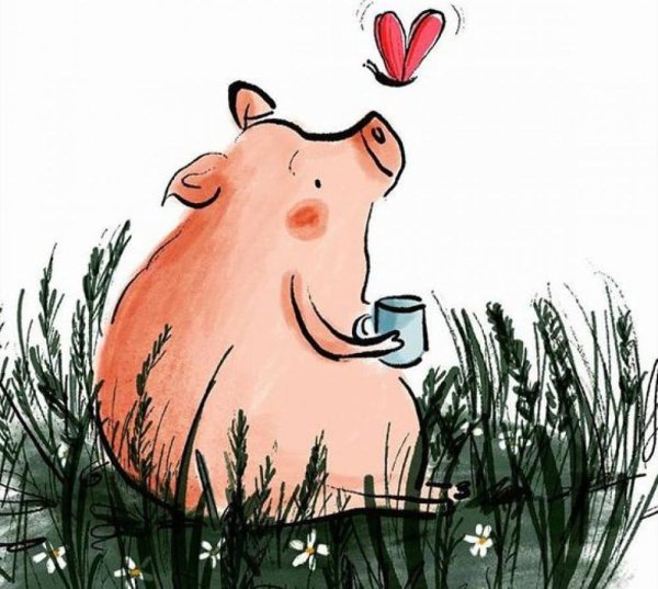 Минипиг пятнистый