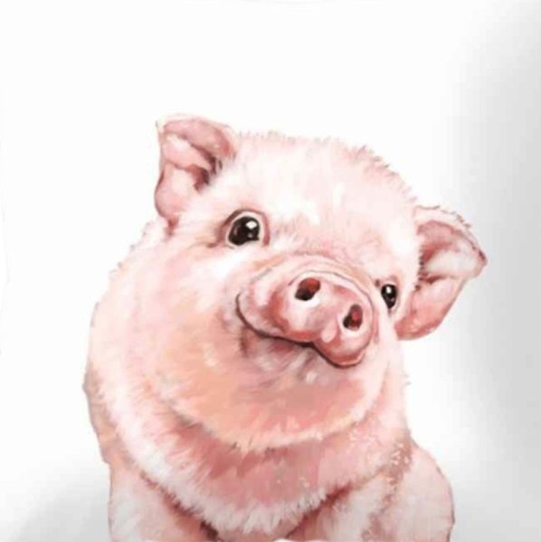 Хомячок в цветах