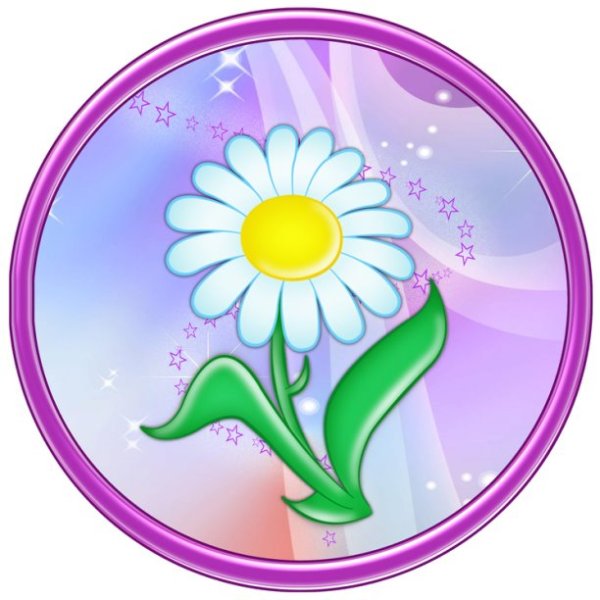 Цветы на кабинке