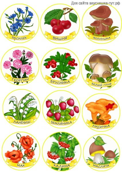 Маркировка на шкафчики в детском саду