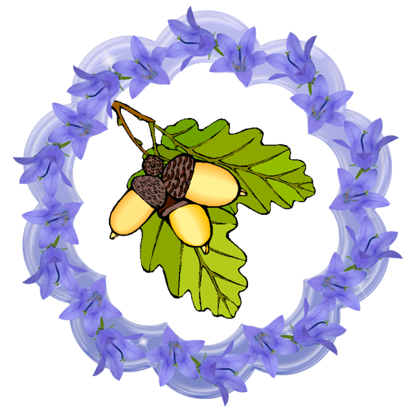 Группа бабочки