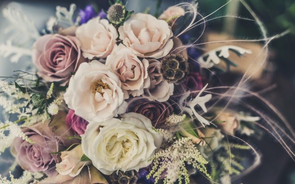 Элегантные цветы