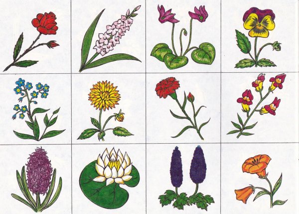 Лото цветы для детей