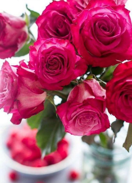 Шикарные яркие розы