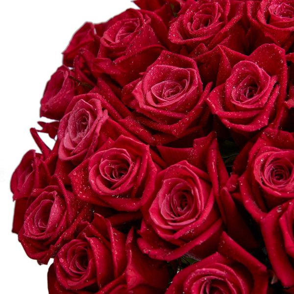 51 Малиновая роза