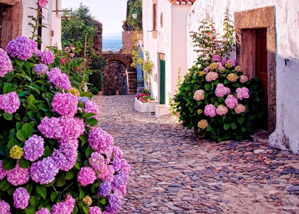 Город в цветах