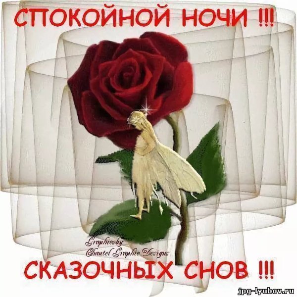 Спокойной ночи цветы с надписью