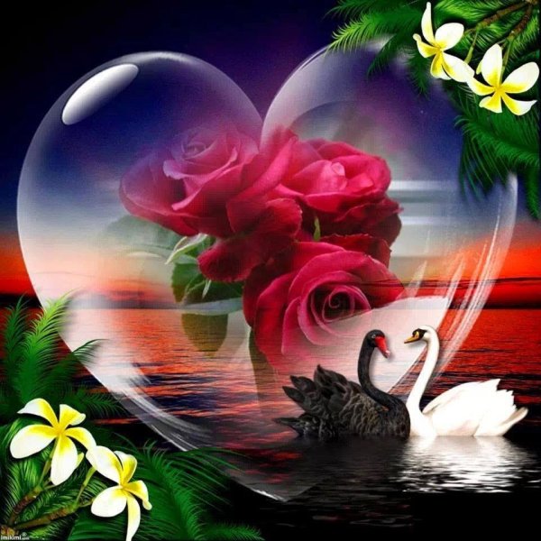 Нежные пожелания спокойной ночи