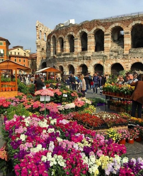 Верона Италия