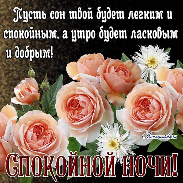 Спокойной ночи с цветами