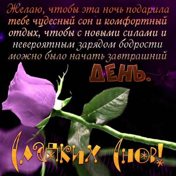 Цветы с пожеланием спокойной ночи